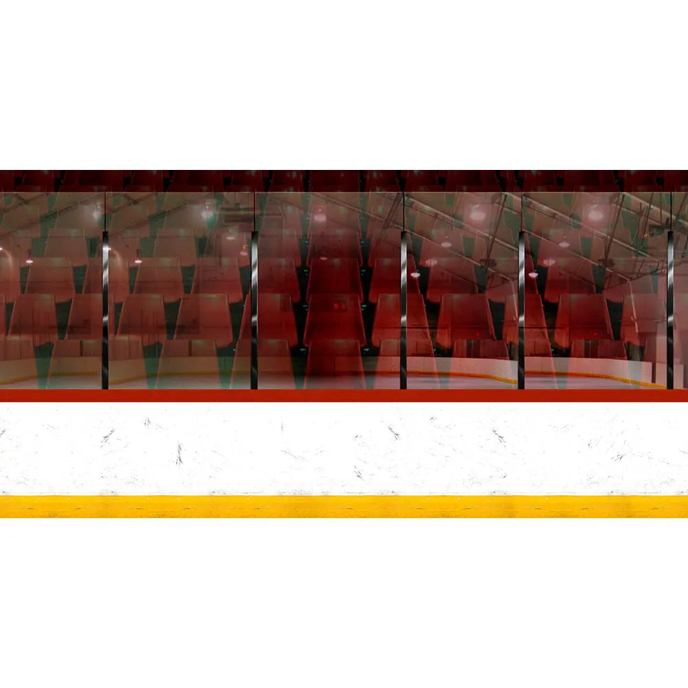 Ice Hockey Rink Photo Backdrop