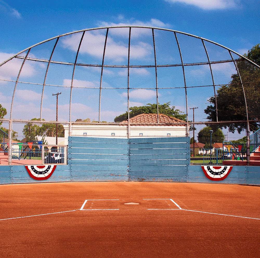 Home Plate Baseball Field Photo Backdrop Backdrop - Pro 10 x 8