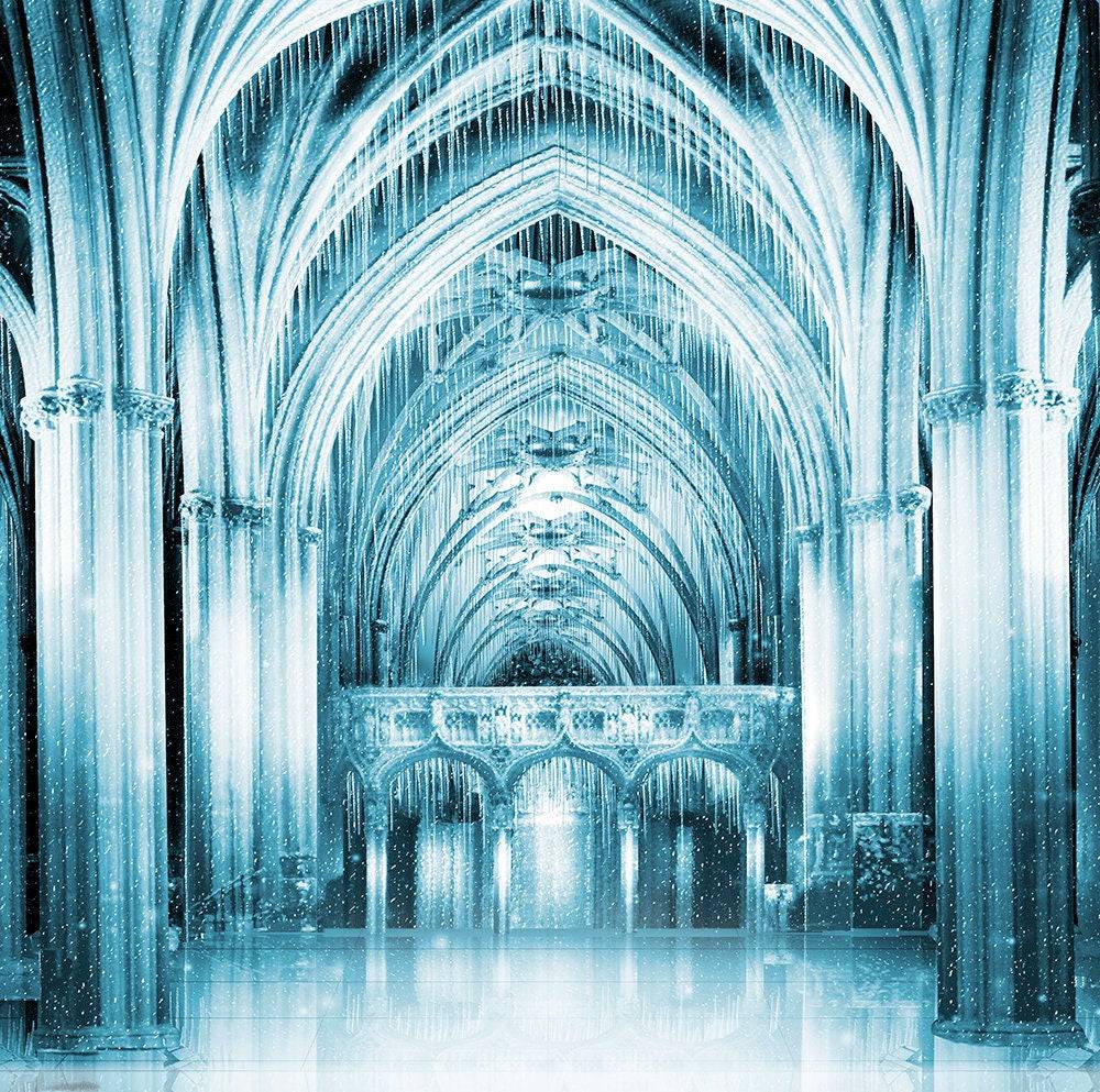 Ice Castle Photography Backdrop - Pro 10 x 8