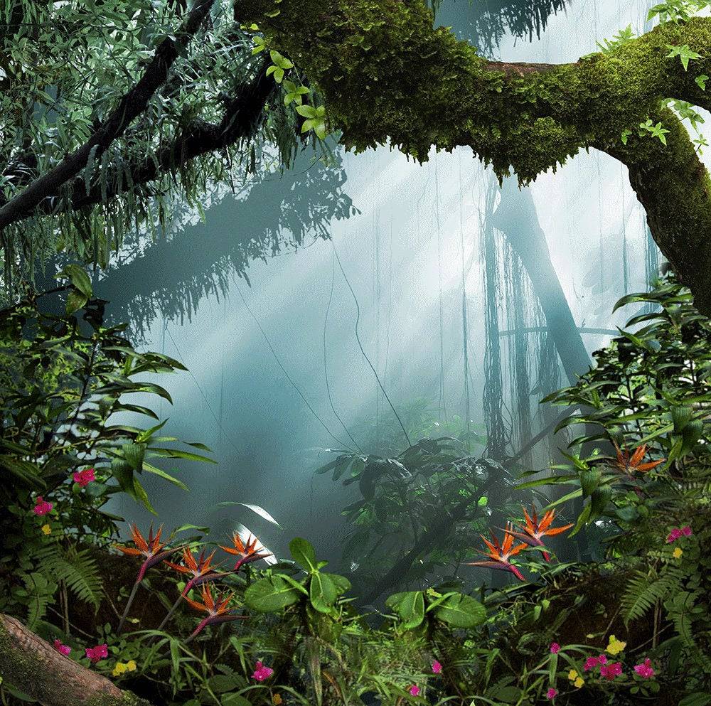 Realistic Jungle Photography Backdrop - Basic 10  x 8