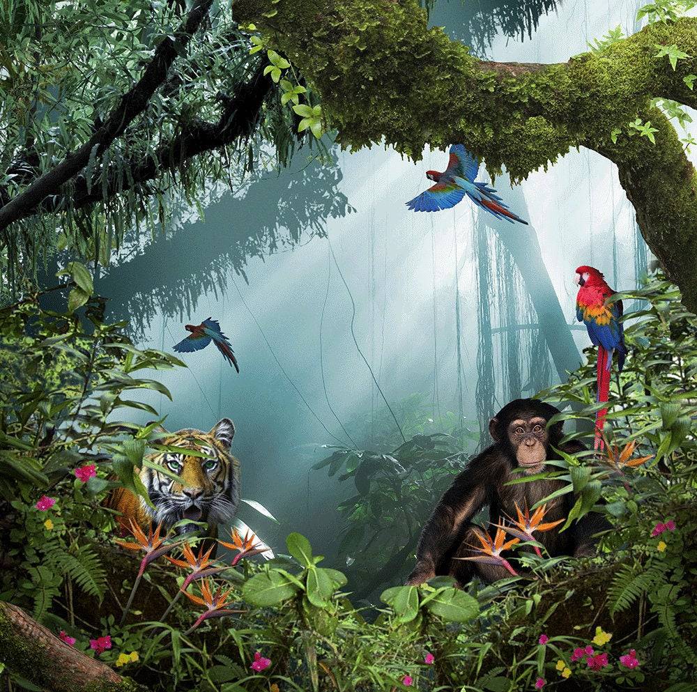 Tiger In The Jungle Photography Backdrop - Basic 10  x 8