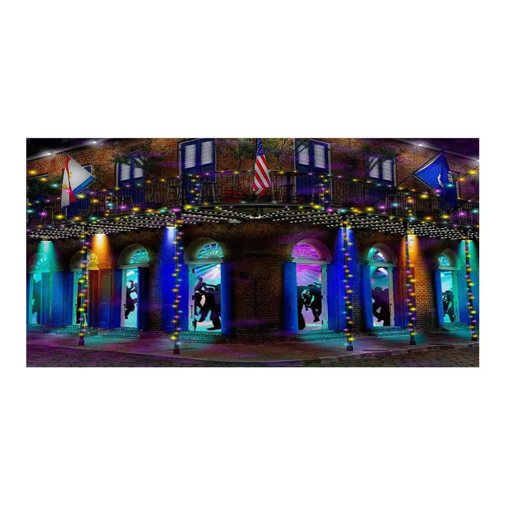 Mardi Gras Bourbon Street Photography Backdrop - Basic 16  x 8