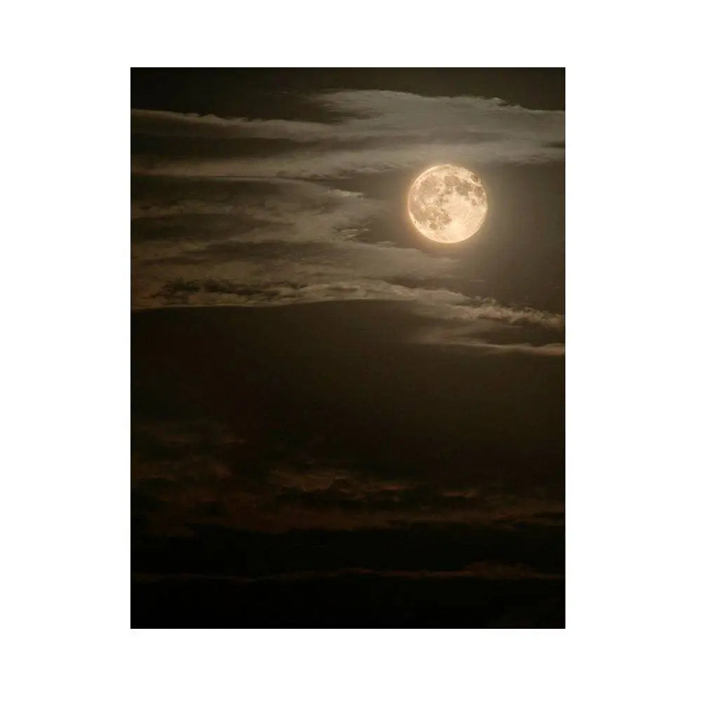 Moonscape Photography Backdrop - Basic 5.5  x 6.5