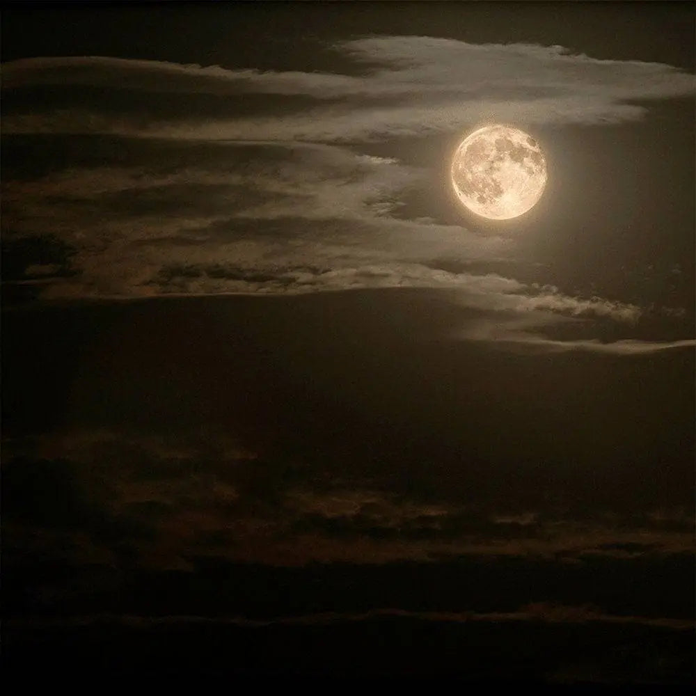 Moonscape Photography Backdrop - Pro 10  x 8