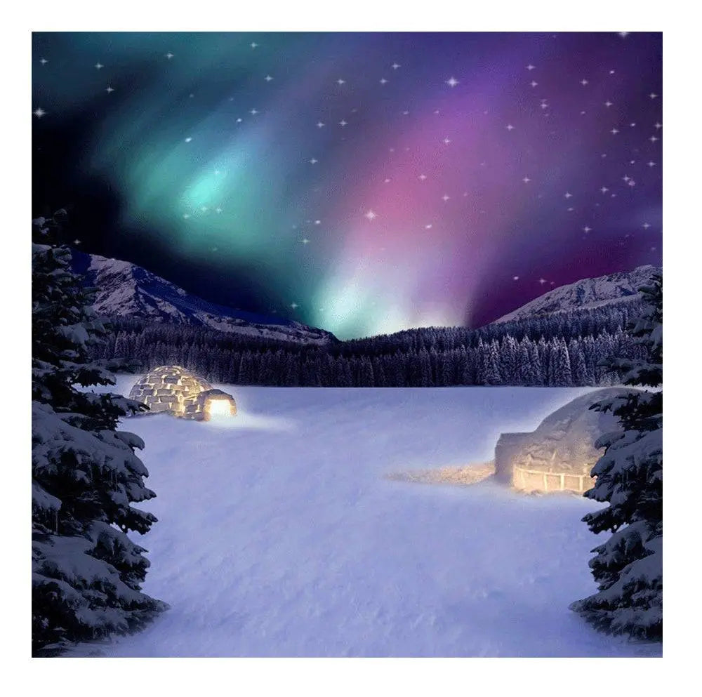 Purple Northern Lights Photo Backdrop - Basic 8  x 8