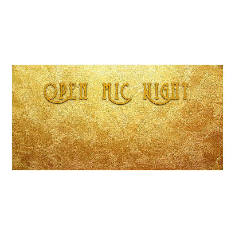 Open Mic Night Photo Backdrop - Basic 16  x 8
