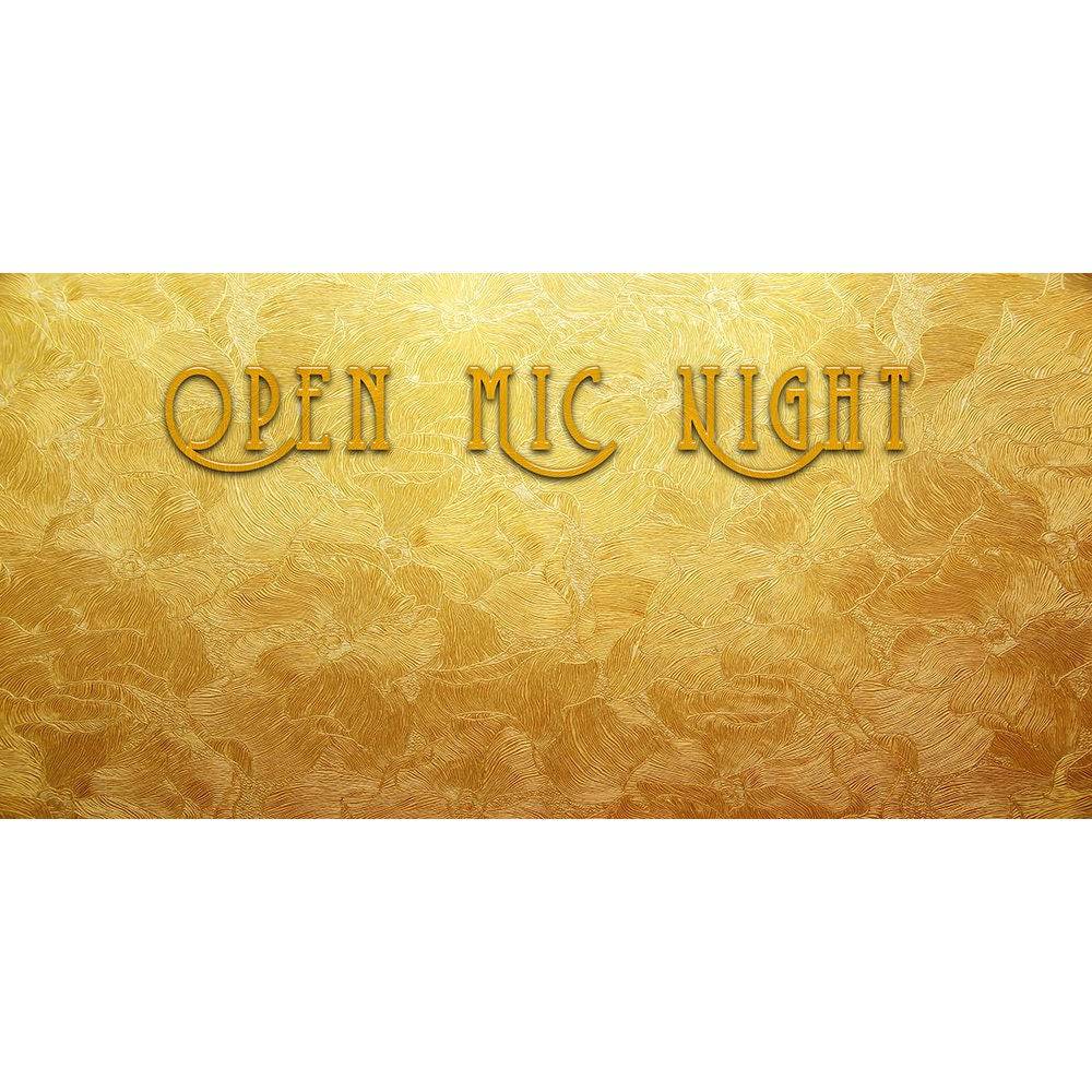 Open Mic Night Photo Backdrop - Pro 20  x 10