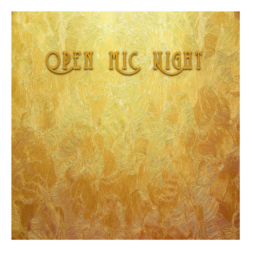 Open Mic Night Photo Backdrop - Pro 8  x 8