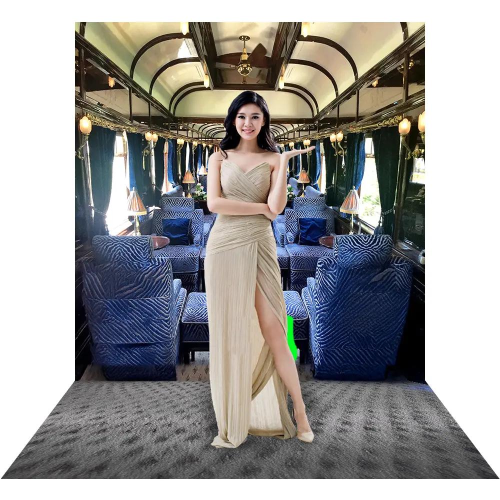 blue gold dress murder Orient Express Interior, fabric backdrop for mysteries/parties plp-28247 LouiseMontgomery's Wedding Guest Collection Size:21.5