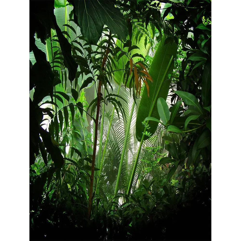 Rain Forest Photo Backdrop - Pro 8 x 10