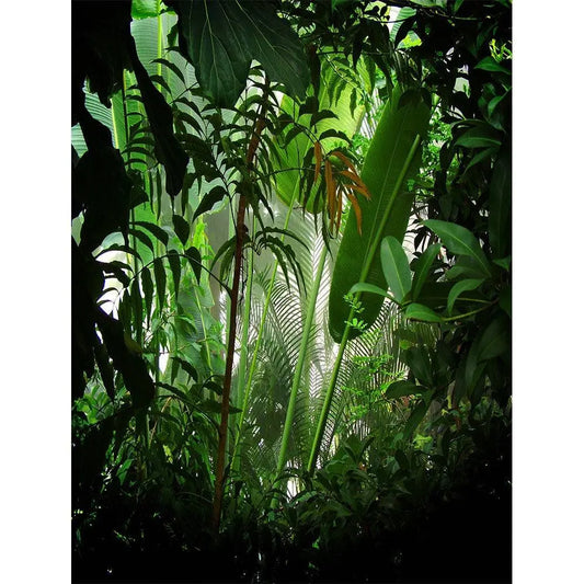 Rain Forest Backdrop B0339-8x10 Pro Fabric