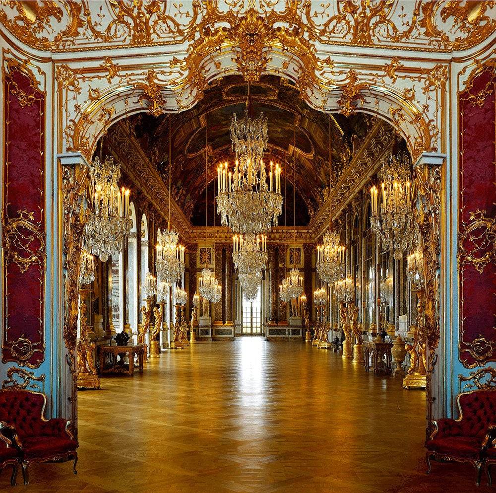 Regal Palace Royal Reception Photo Backdrop - Basic 10 x 8