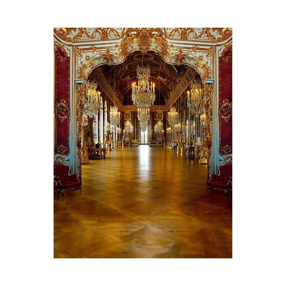 Regal Palace Royal Reception Photo Backdrop - Basic 5.5 x 6.5