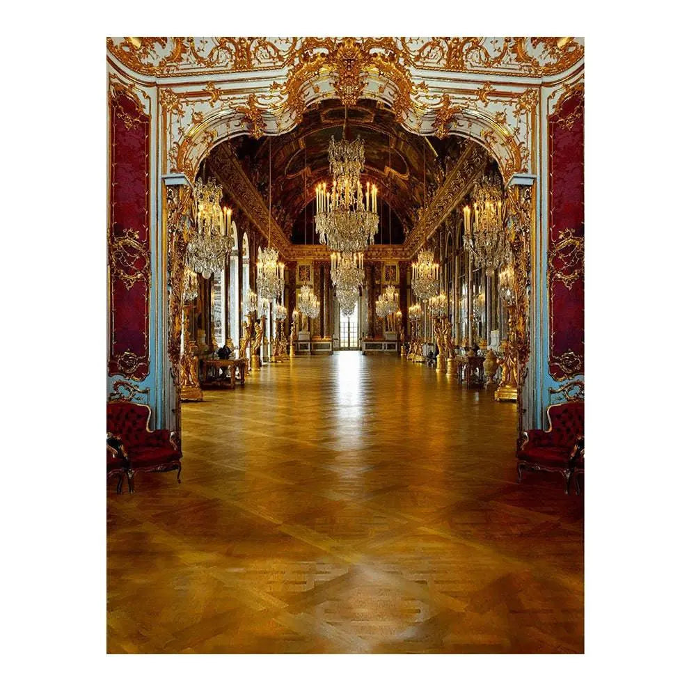 Regal Palace Royal Reception Photo Backdrop - Basic 6 x 8