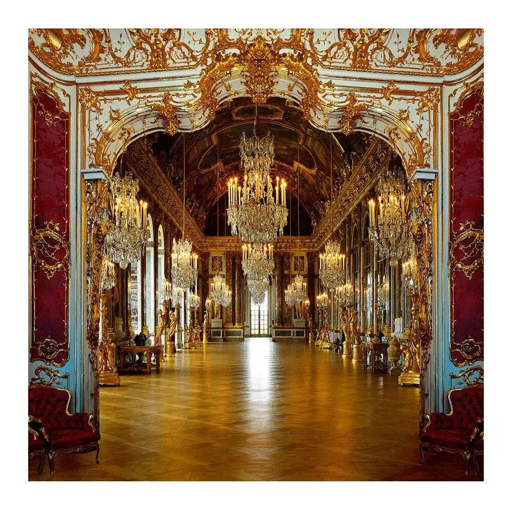 Regal Palace Royal Reception Photo Backdrop - Basic 8 x 8