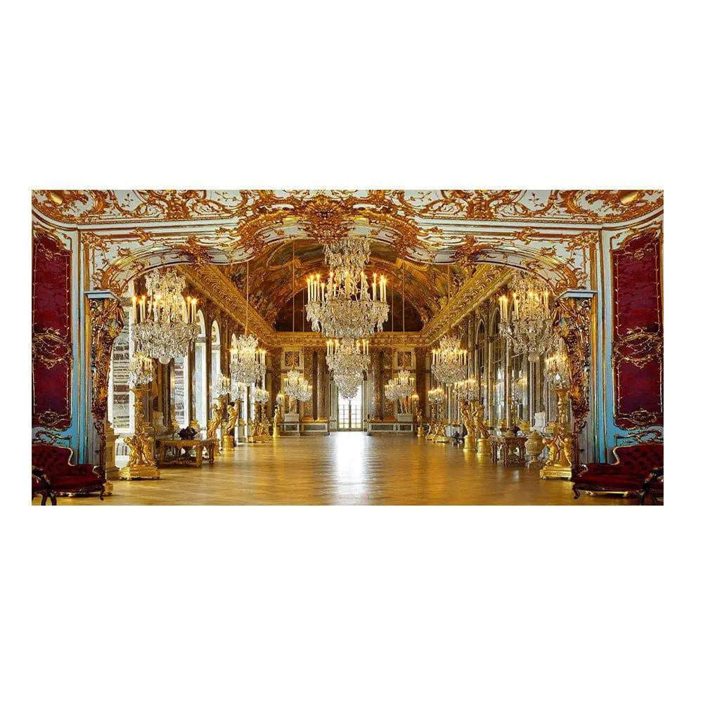 Regal Palace Royal Reception Photo Backdrop - Pro 16 x 18