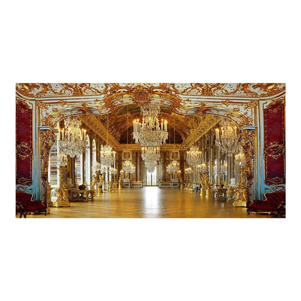 Regal Palace Royal Reception Photo Backdrop - Pro 16 x 9