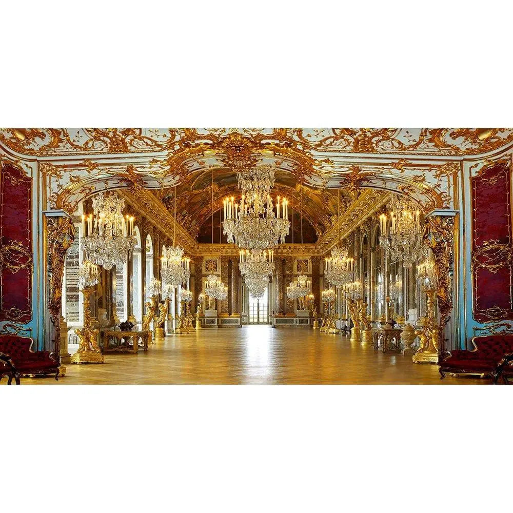 Regal Palace Royal Reception Photo Backdrop - Pro 20 x 10