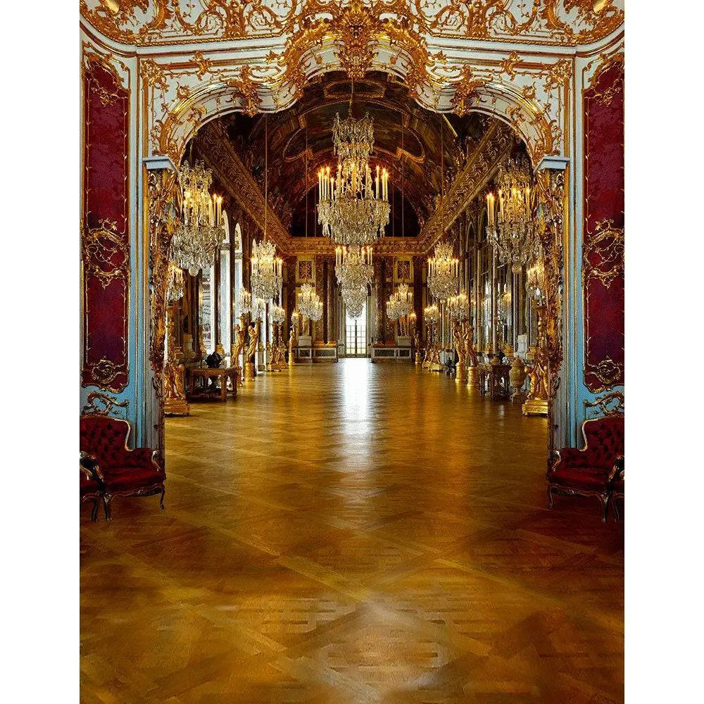 Regal Palace Royal Reception Photo Backdrop - Pro 8 x 10