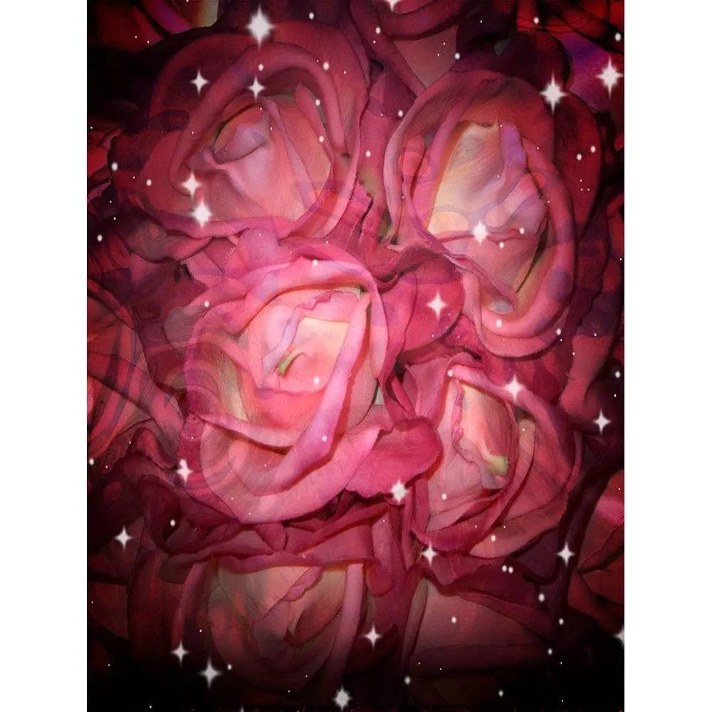 Valentine's Day Starry Roses Photography Backdrop - Basic 8 x 10
