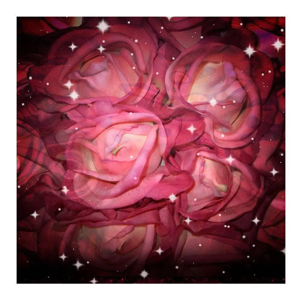 Starry Roses Photography Backdrop - Basic 8 x 8