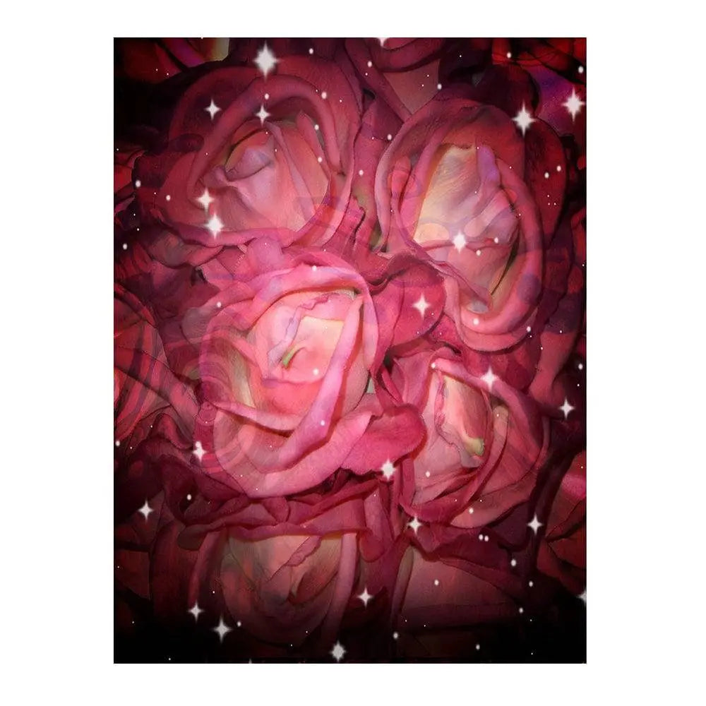 Starry Roses Photography Backdrop - Pro 6 x 8