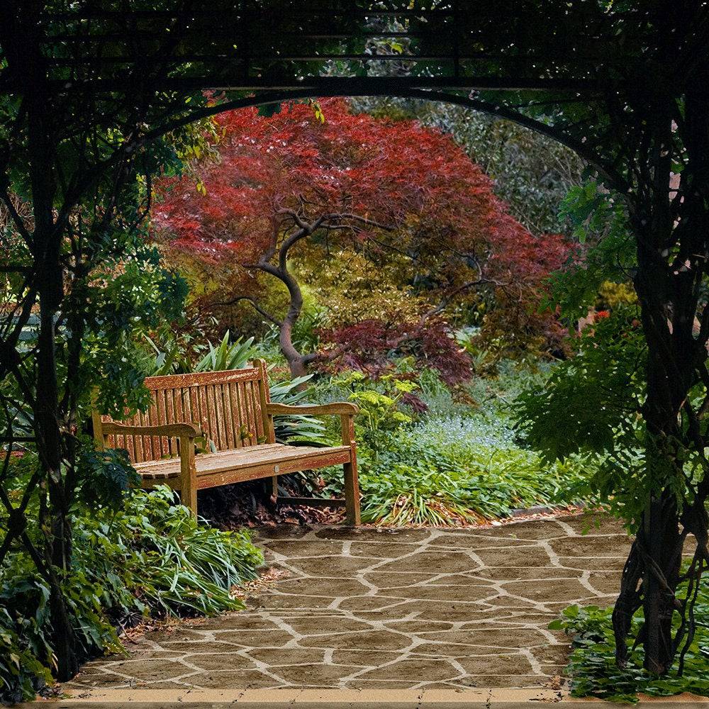 Secret Garden Romantic Photo Backdrop - Basic 10 x 8