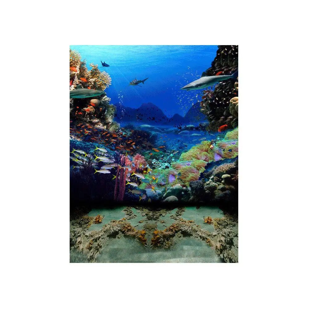Shark Coral Reef Ocean Bottom Photo Backdrop - Basic 4.4  x 5