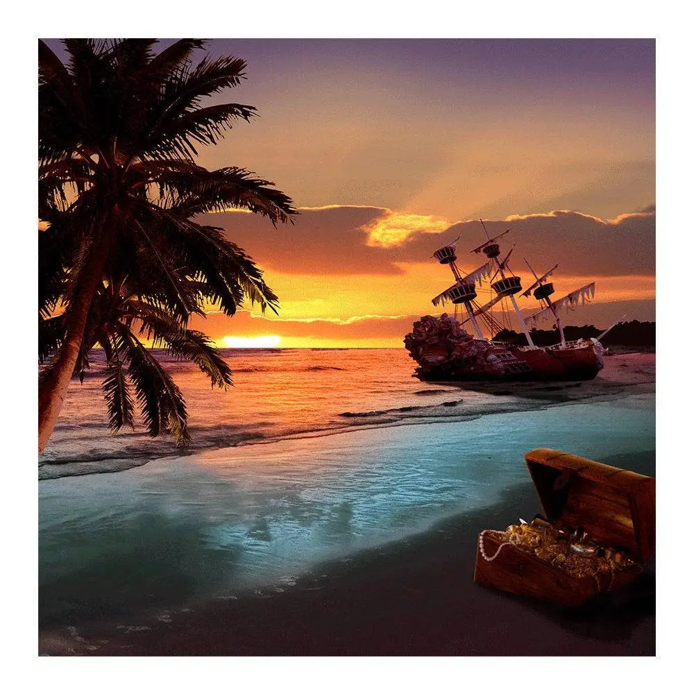 Shipwreck Sunset Beach Photo Backdrop - Pro 8  x 8
