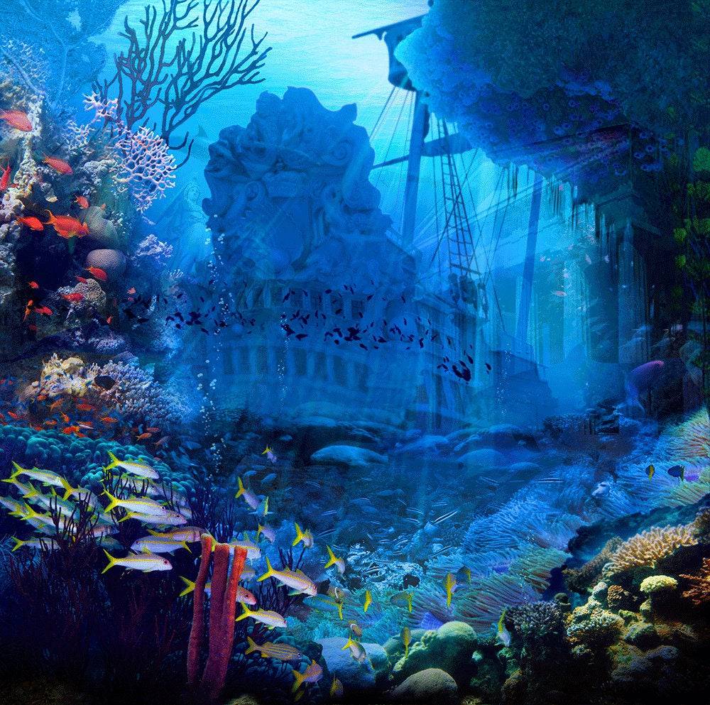 Under Sea Pirate Shipwreck Photo Backdrop - Pro 10  x 8