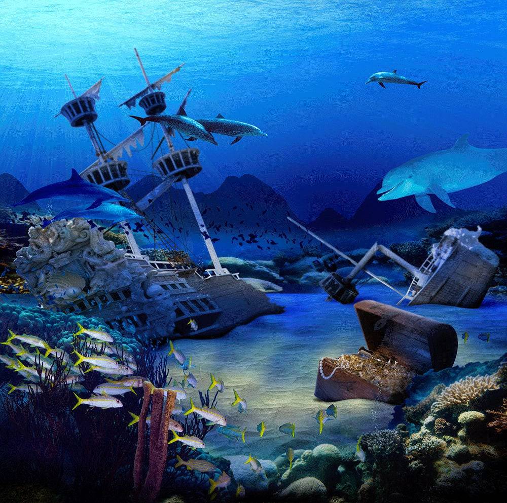 Sunken Treasure Shipwreck Photo Backdrop - Pro 10 x 8