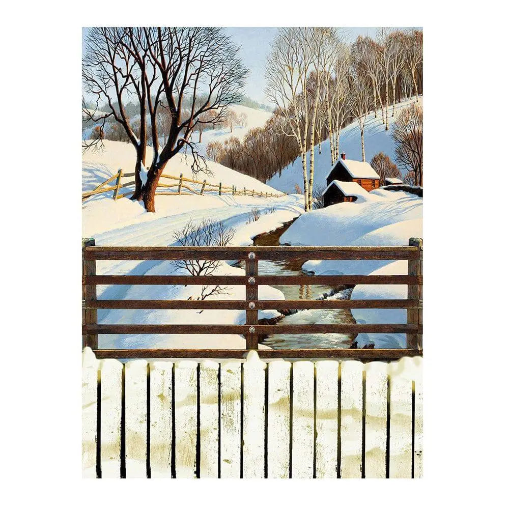 Snowy Creek Photo Backdrop - Pro 6  x 8