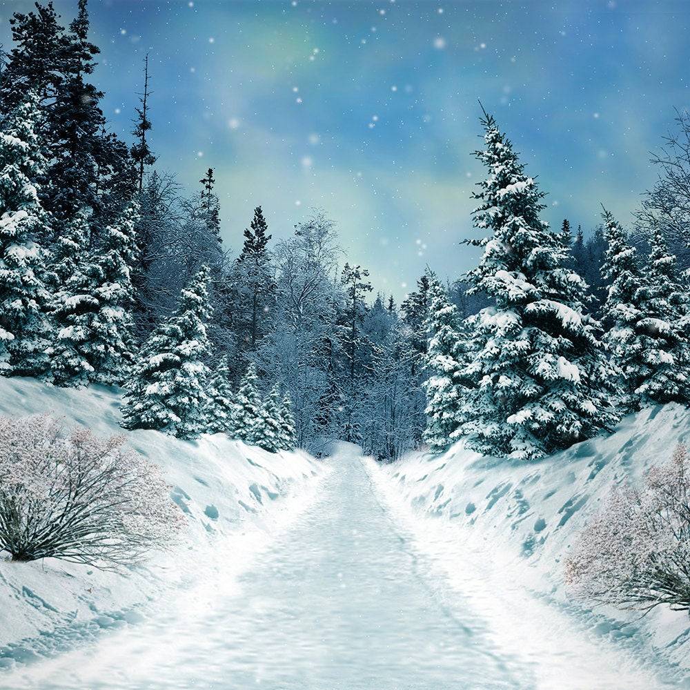 Snowy White Winter Photo Backdrop - Pro 10 x 8