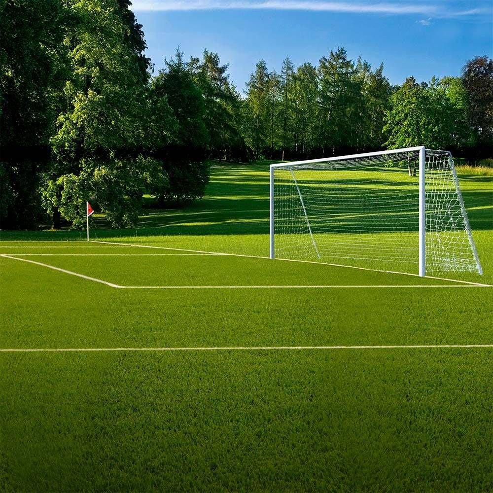 Soccer Field In The Park Photo Backdrop - Basic 10 x 8