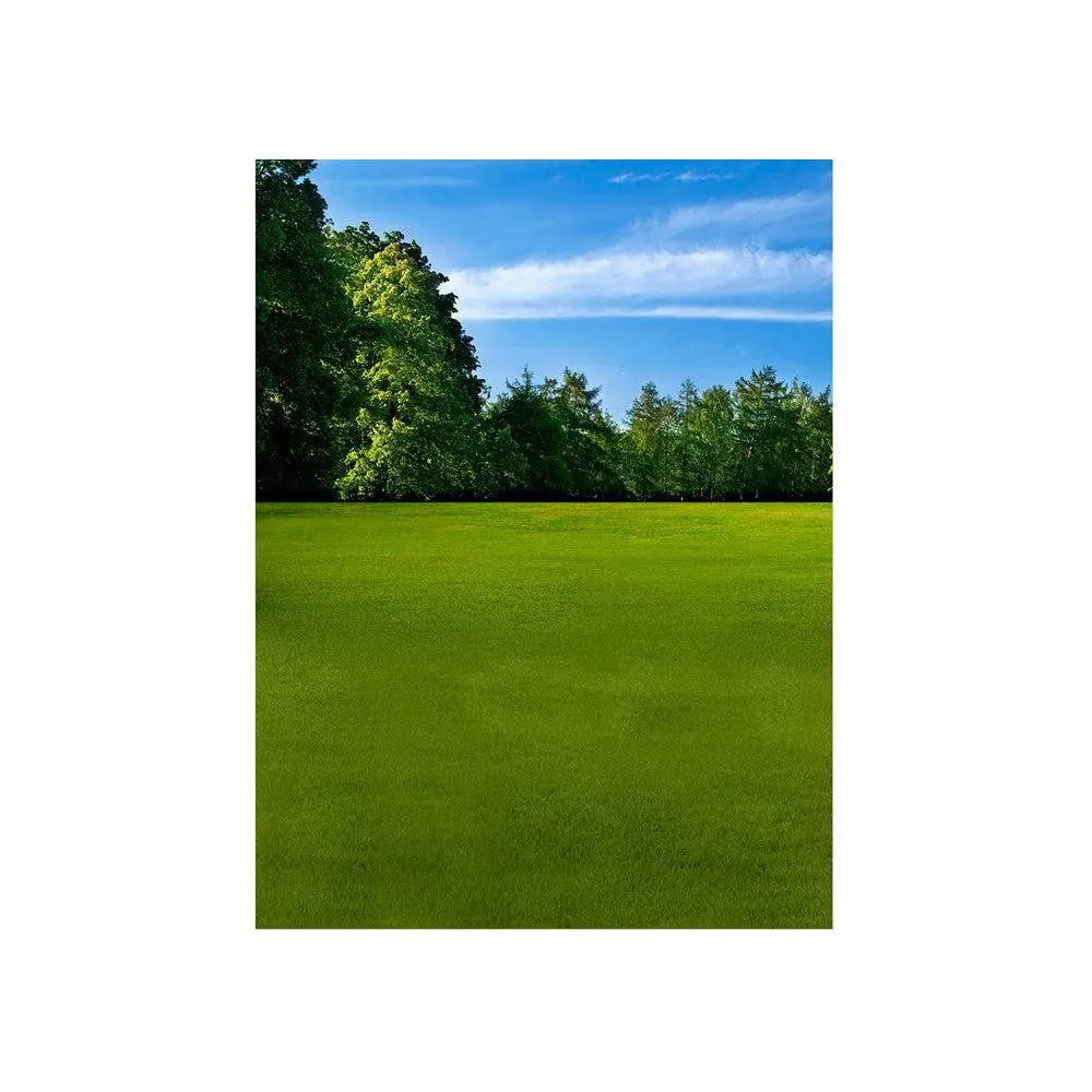 Sports Park Photo Backdrop - Basic 4.4 x 5