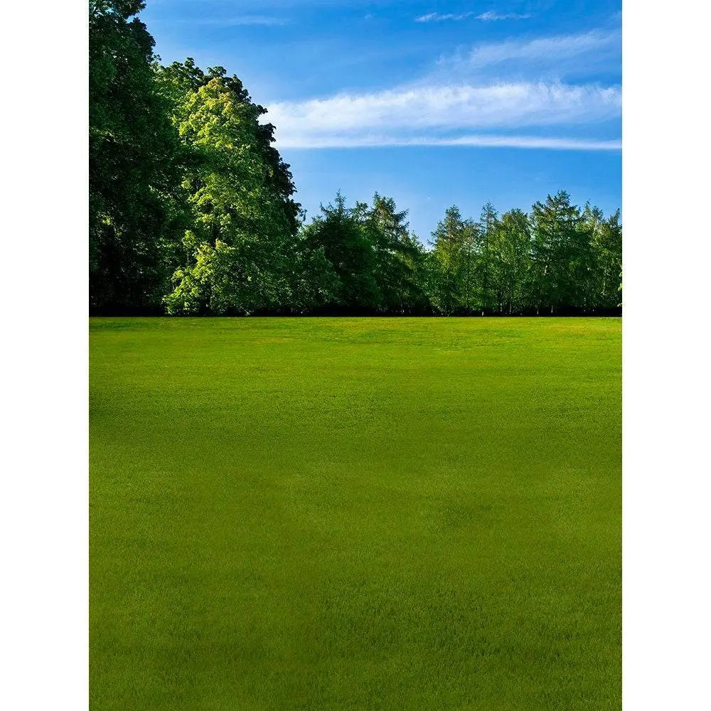 Sports Park Photo Backdrop - Basic 8 x 10