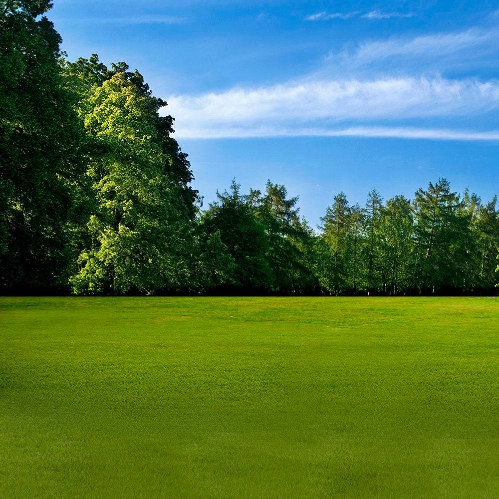 Sports Park Photo Backdrop - Pro 10 x 8