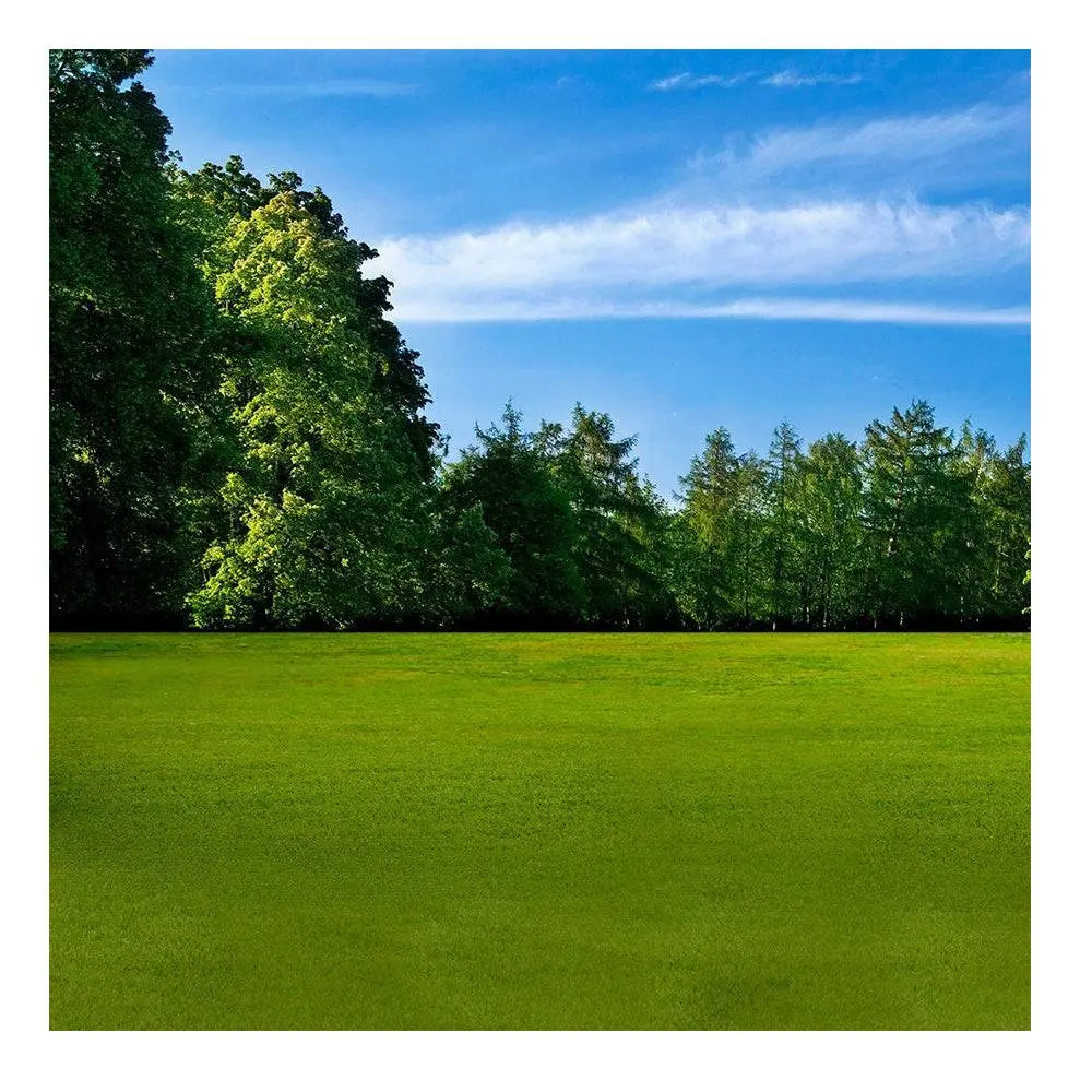 Sports Park Photo Backdrop - Pro 8 x 8