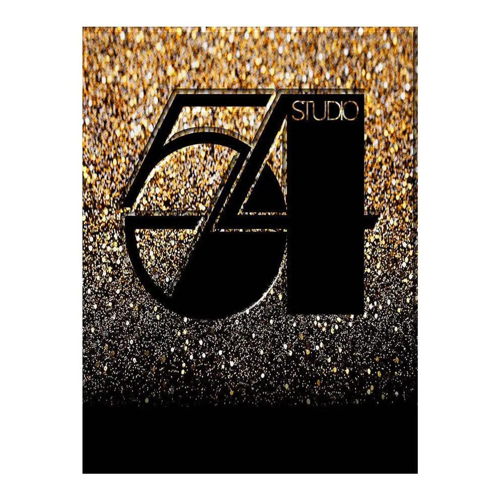 Studio 54 Party Photo Backdrop - Basic 6 x 8