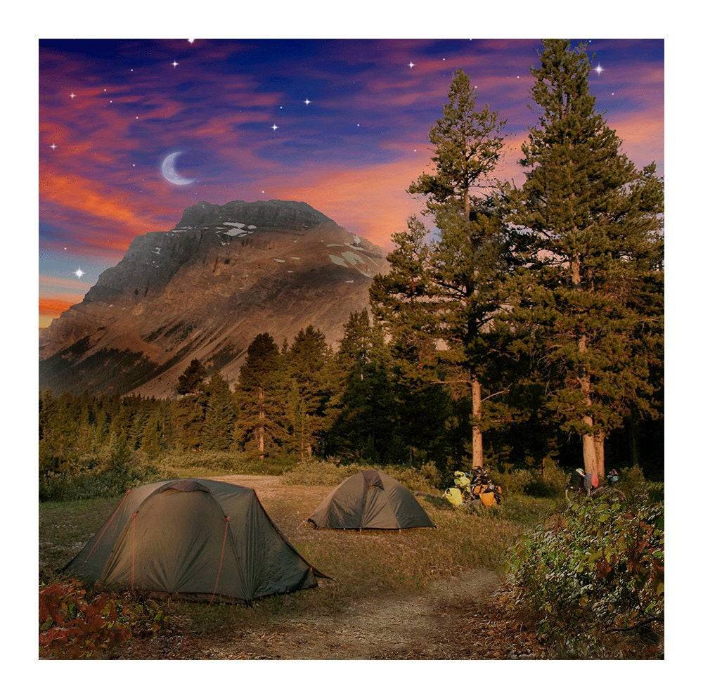 Summer Campsite Photo Backdrop - Basic 8 x 8