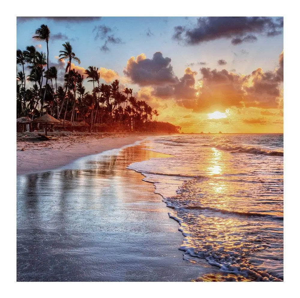 Sunset Beach Palm Trees Photo Backdrop - Basic 8 x 8
