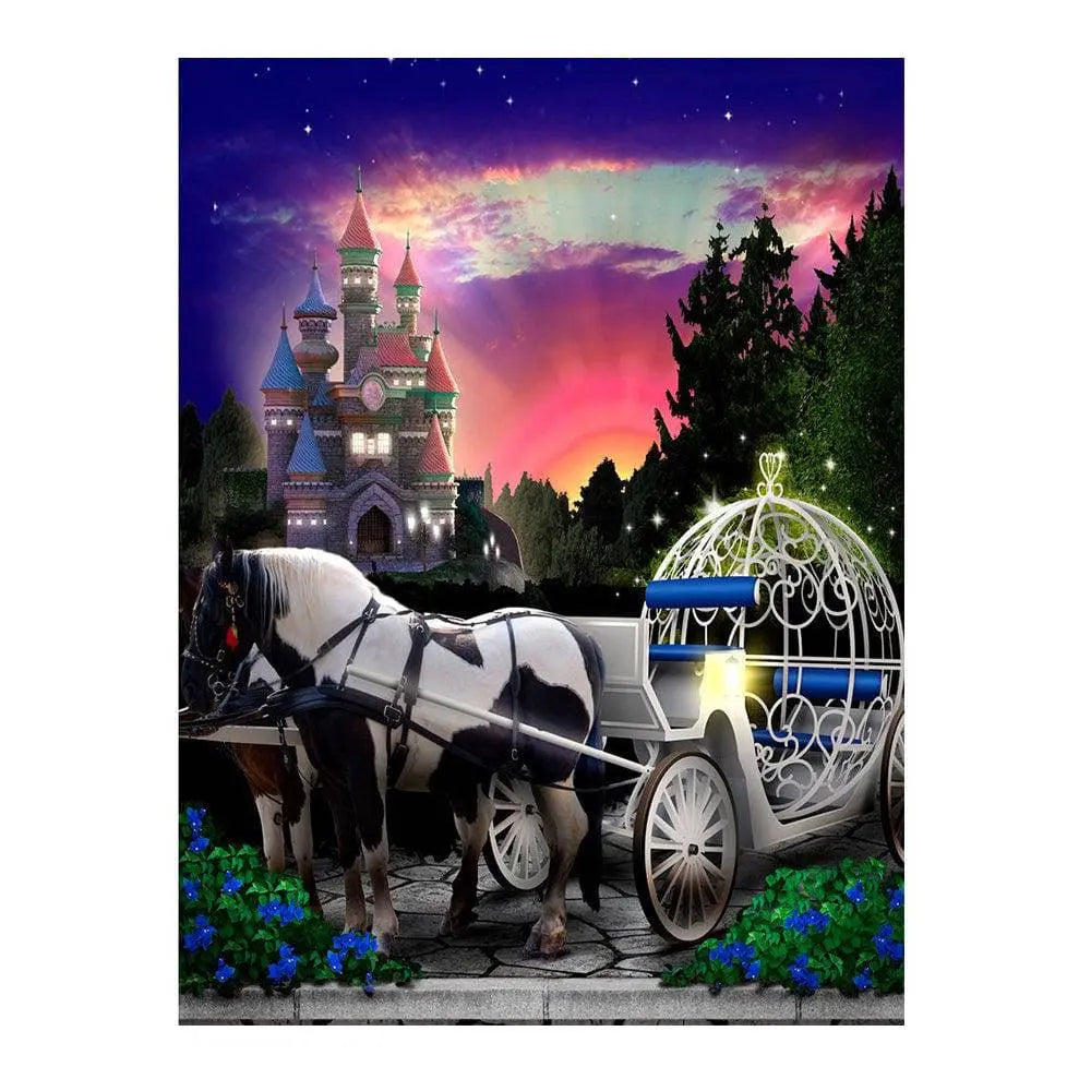 Pink and Purple Cinderellas Ball Photo Backdrop - Basic 6 x 8