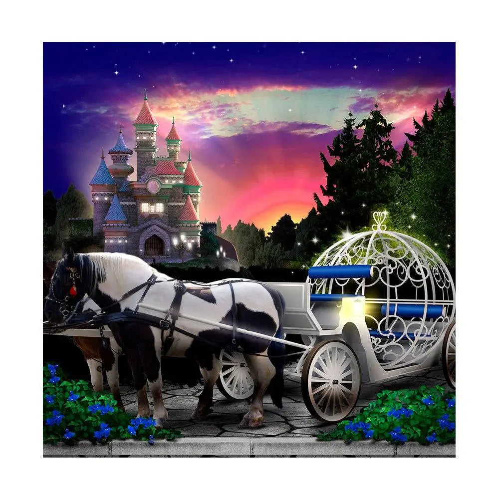 Pink and Purple Cinderellas Ball Photo Backdrop - Pro 8 x 8
