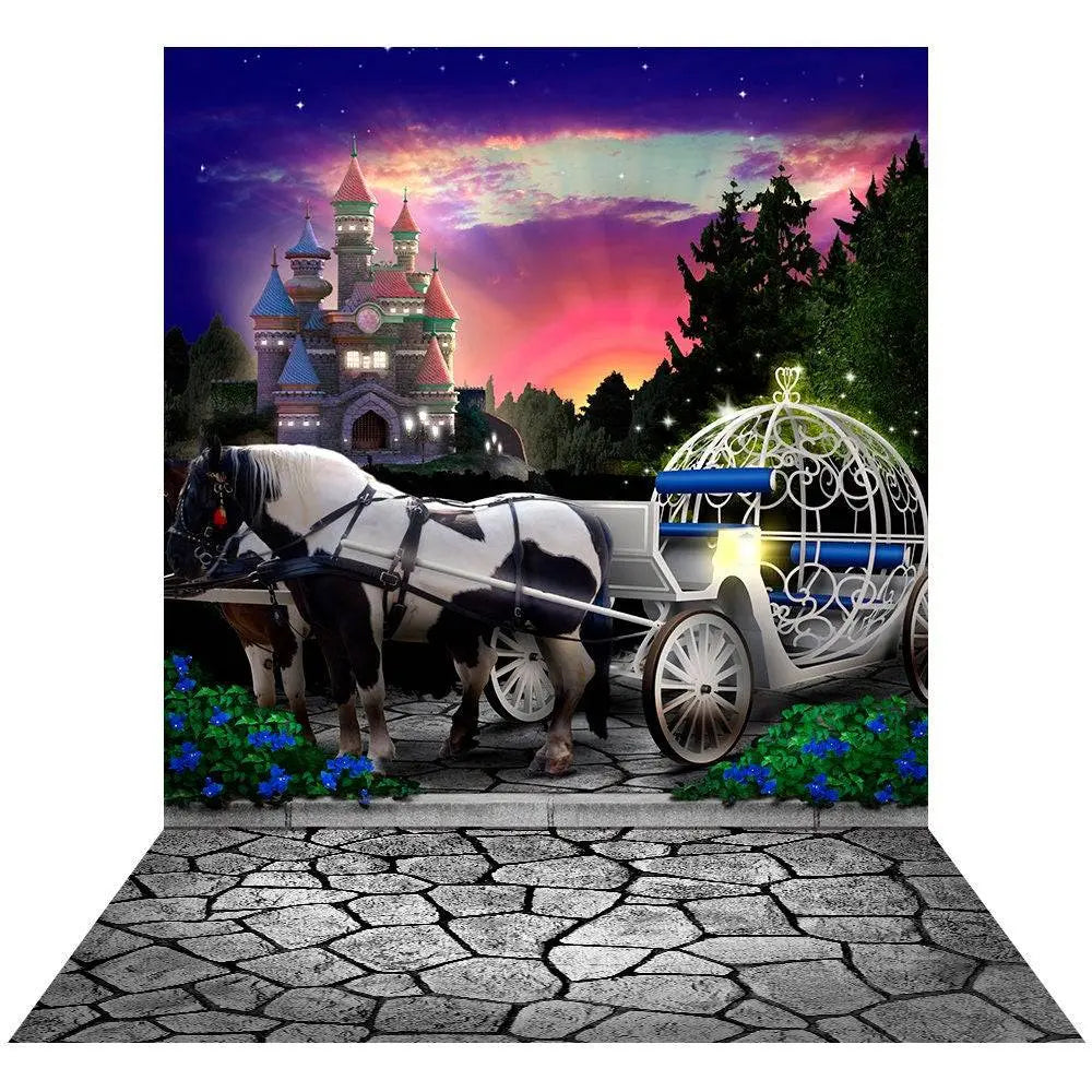 Pink and Purple Cinderellas Ball Photo Backdrop - Pro 9 x 16
