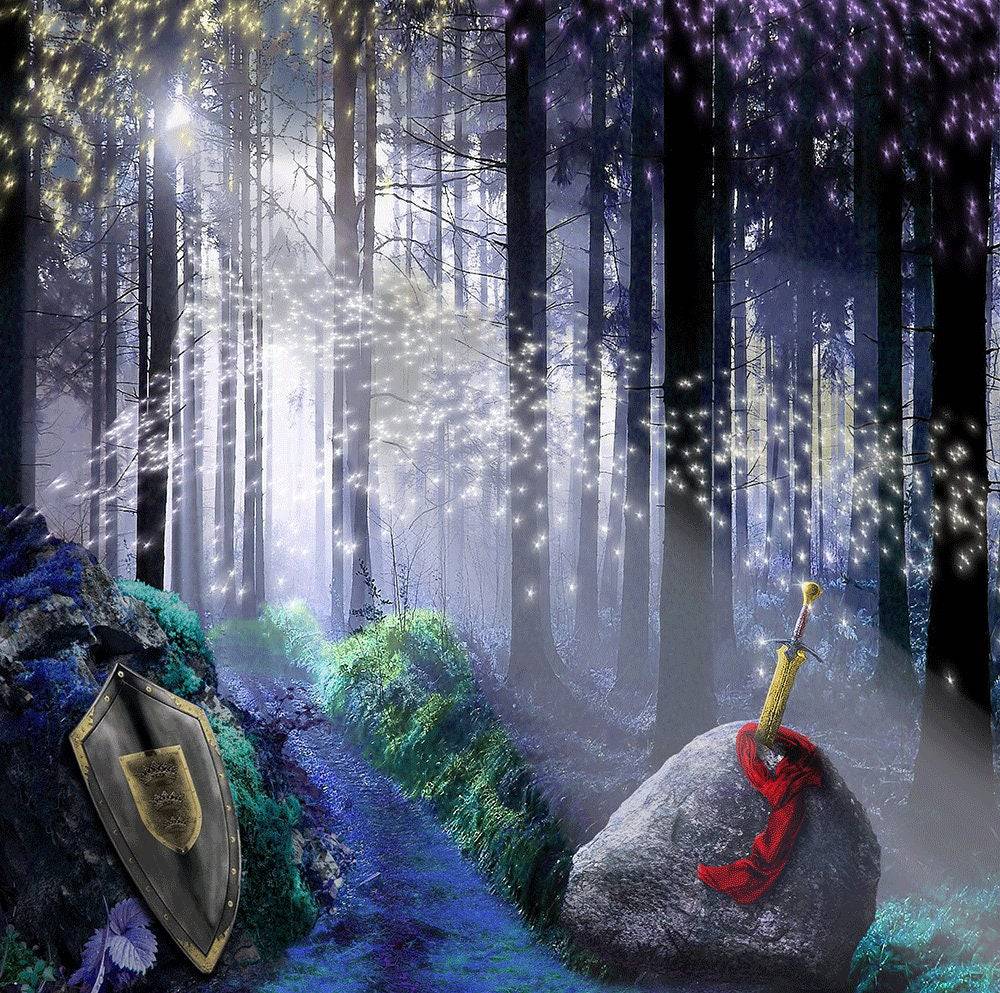 King Arthur's Sword in the Stone Backdrop, Backgrounds Banners - Basic 10  x 8