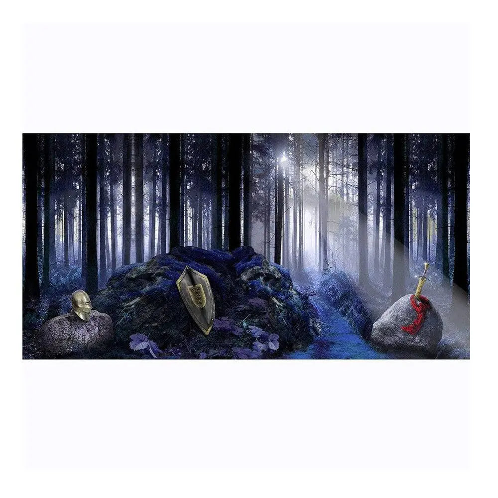 King Arthur's Sword in the Stone Backdrop, Backgrounds Banners - Basic 16  x 8