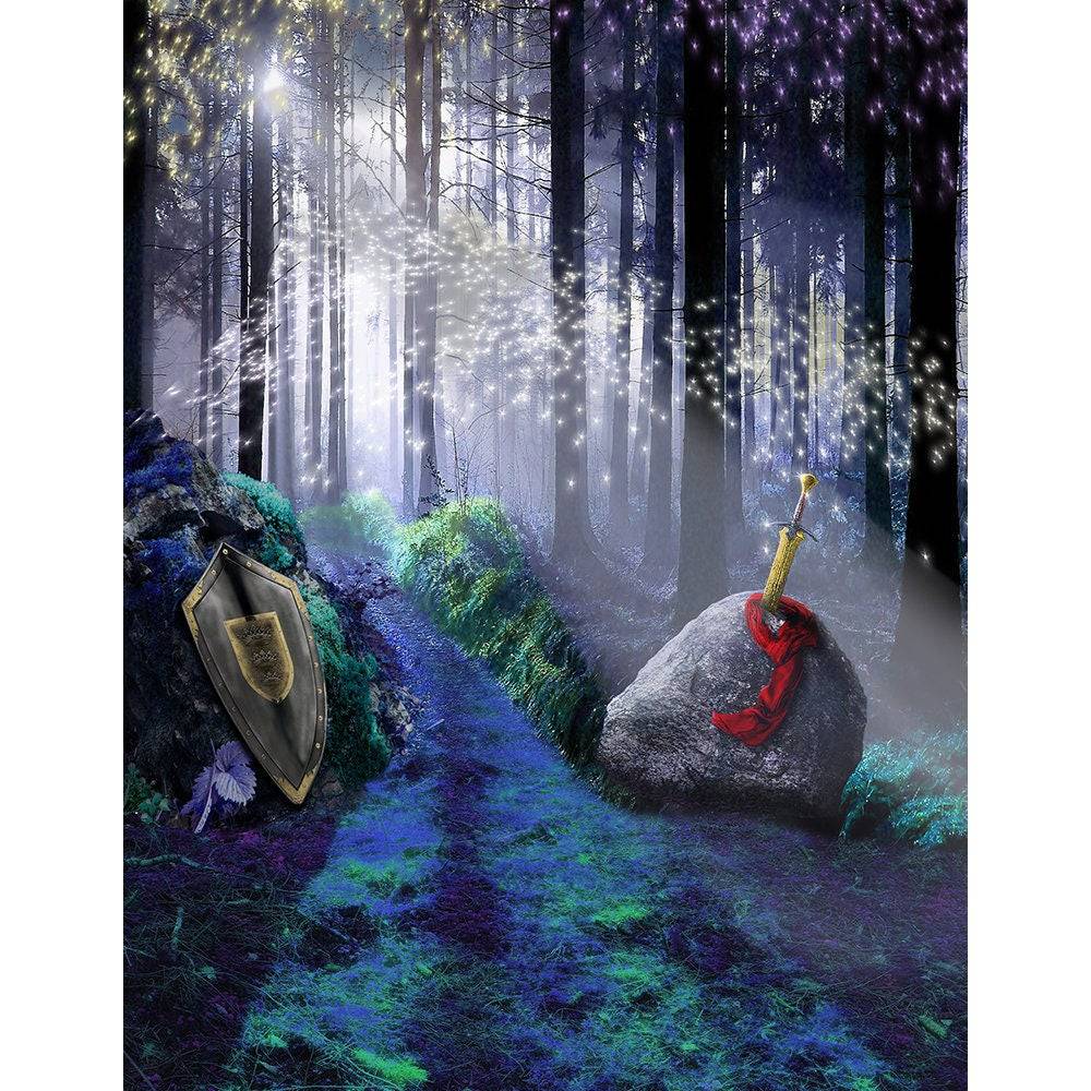 King Arthur's Sword in the Stone Backdrop, Backgrounds Banners - Basic 8  x 10