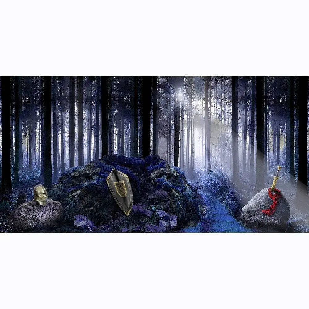 King Arthur's Sword in the Stone Backdrop, Backgrounds Banners - Pro 20  x 10