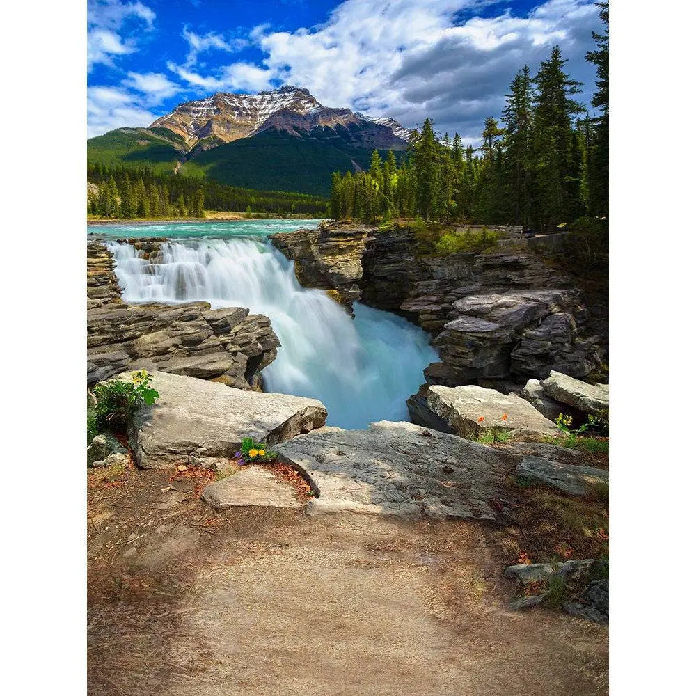 The Great Outdoors Photo Backdrop Background - Basic 8  x 10