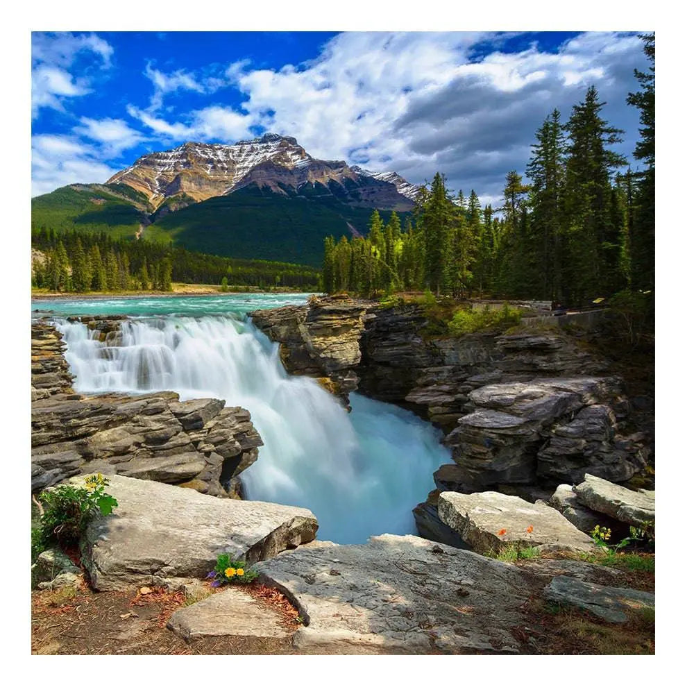 The Great Outdoors Photo Backdrop - Basic 8  x 8
